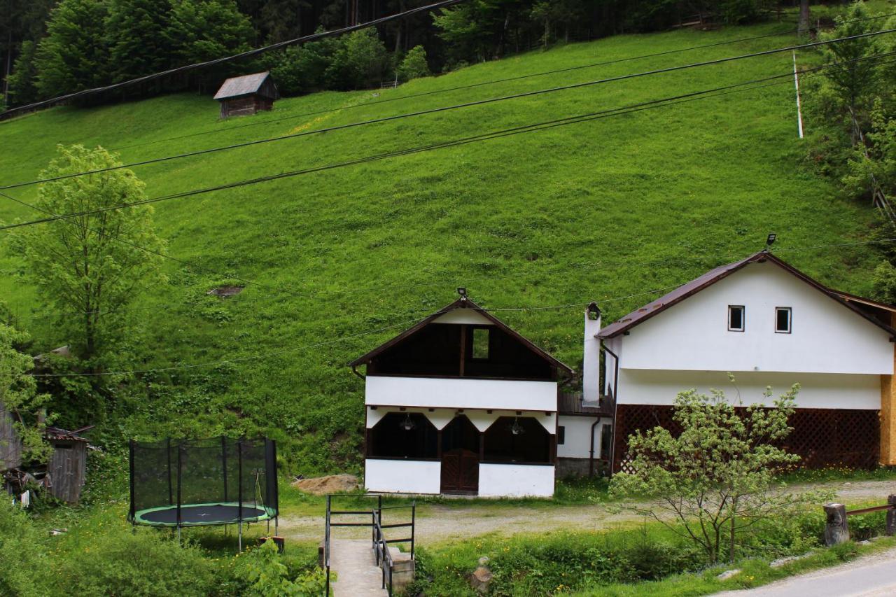 Hotel Casuta De Langa Padure Moeciu De Sus Esterno foto