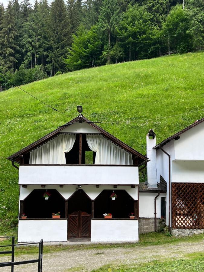 Hotel Casuta De Langa Padure Moeciu De Sus Esterno foto