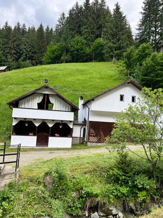 Hotel Casuta De Langa Padure Moeciu De Sus Esterno foto