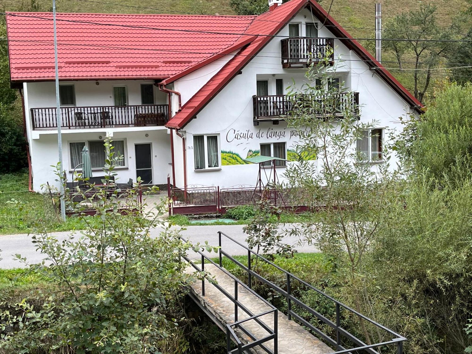 Hotel Casuta De Langa Padure Moeciu De Sus Esterno foto