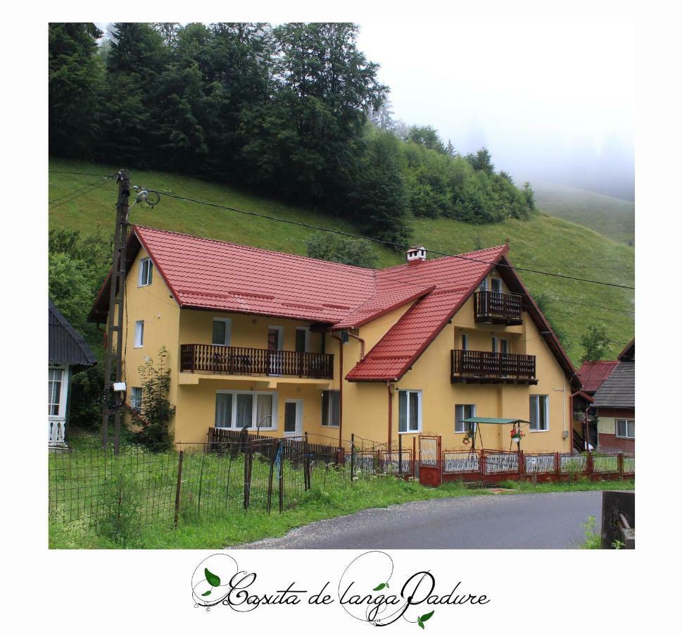 Hotel Casuta De Langa Padure Moeciu De Sus Esterno foto